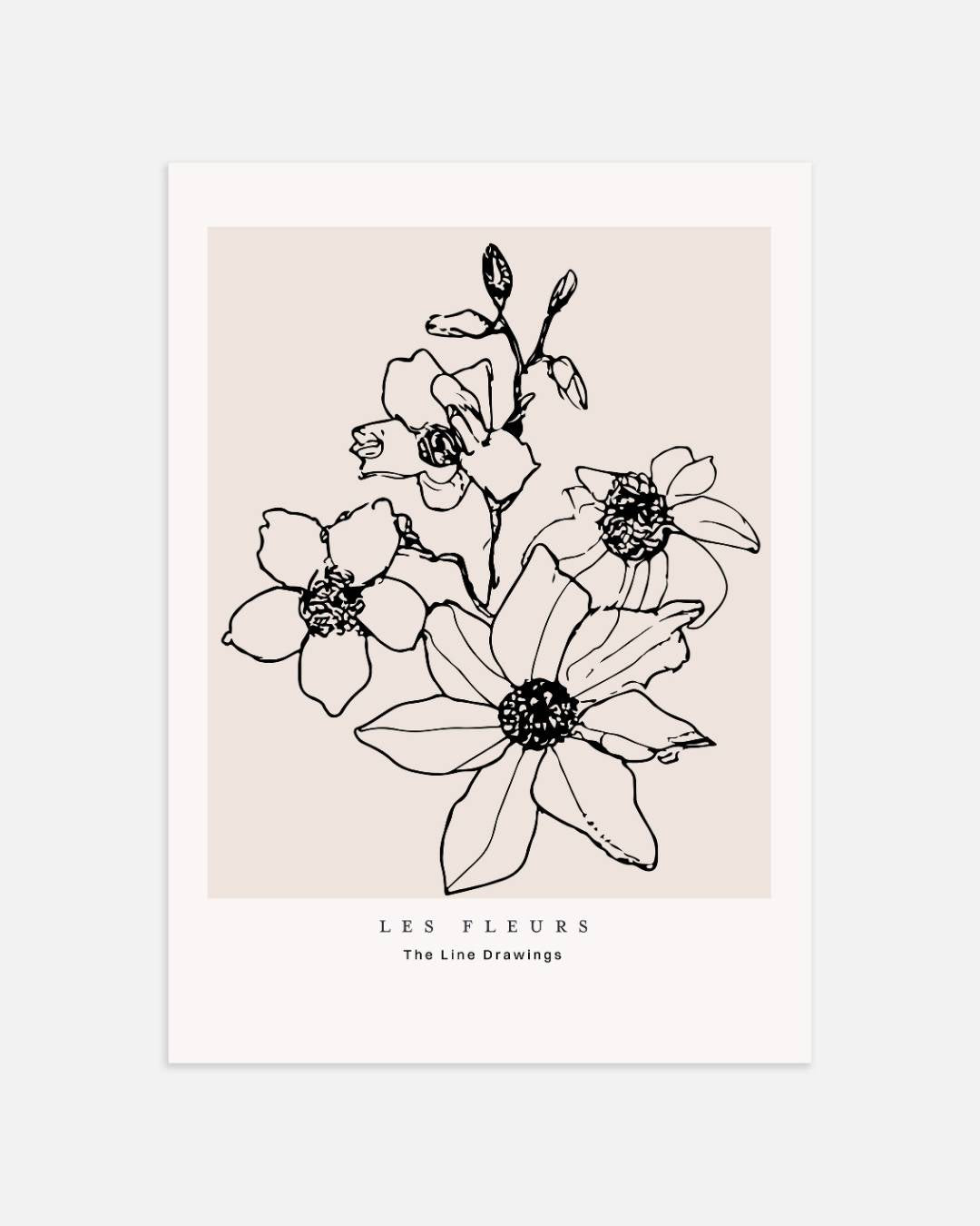 Magnolia schets Poster