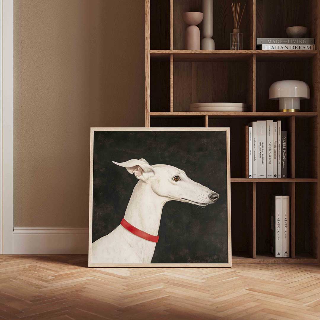 Witte windhond Poster