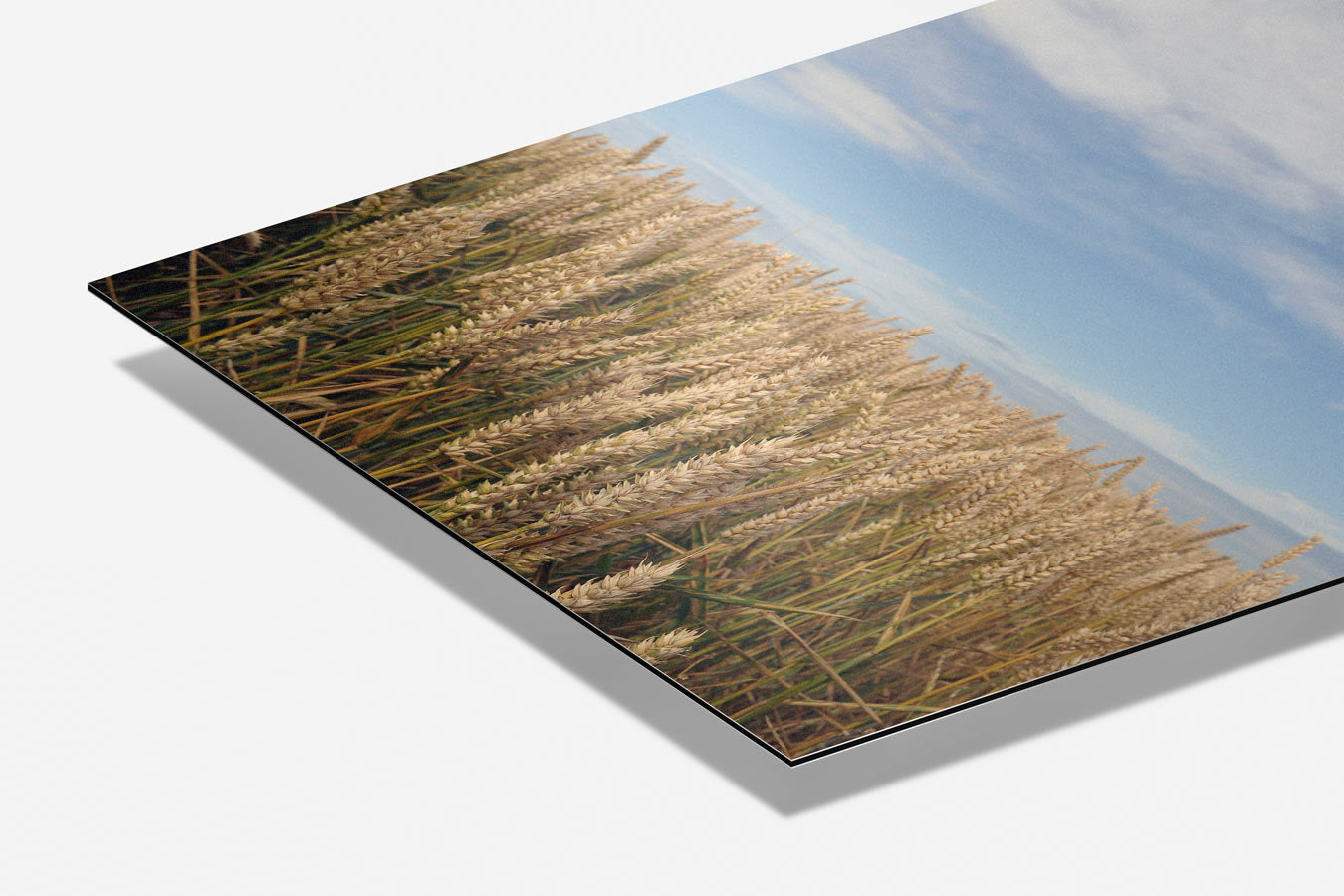 Rustiek Graanveld Poster-WallArtistic