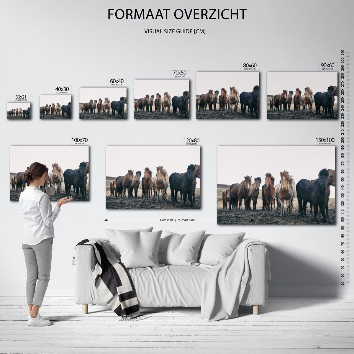 Groep paarden Poster