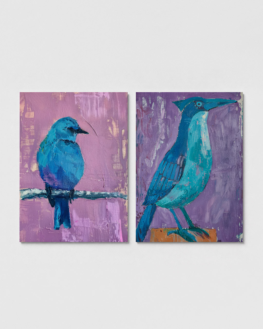 Vogels in kleur Posterset