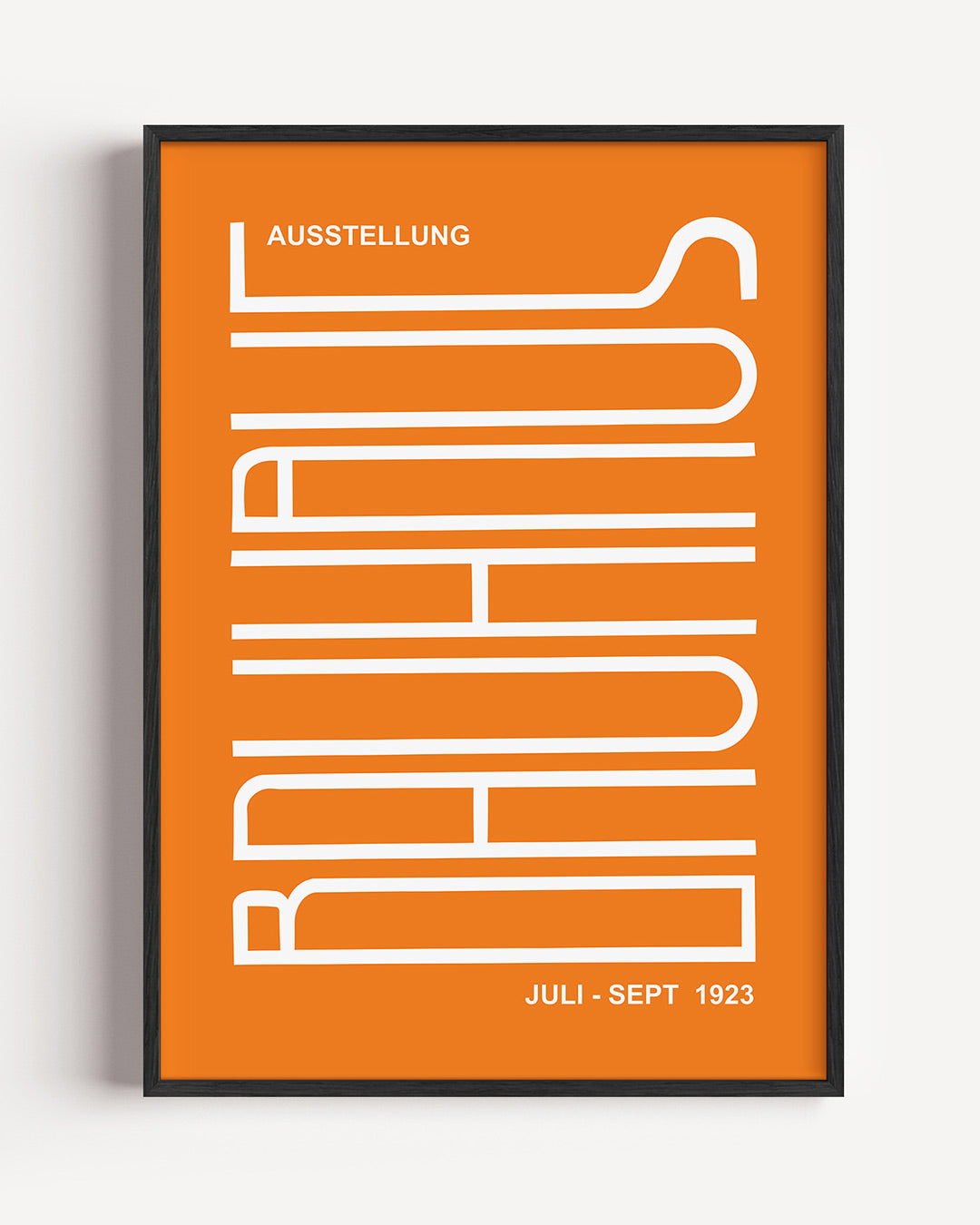 Lijnen en kleurvlakken Poster