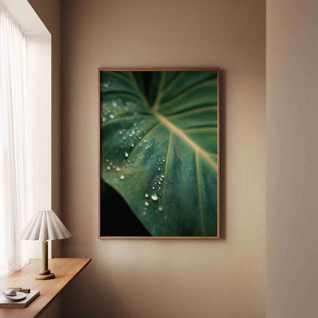 Groen blad met dauwdruppels Poster
