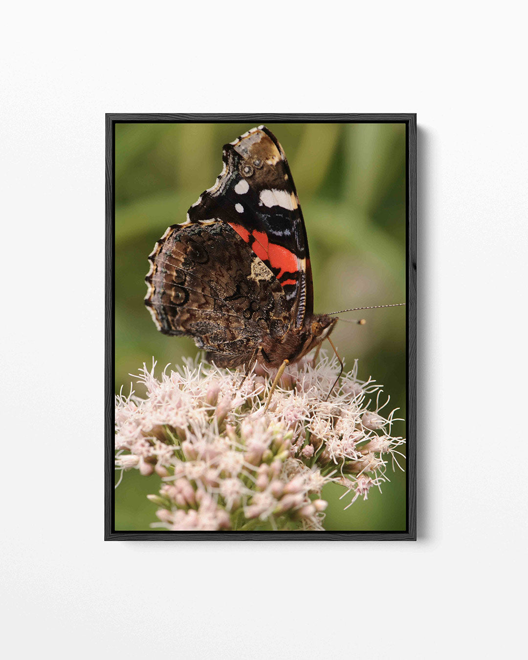 Vlinder op bloem Kunstwerk