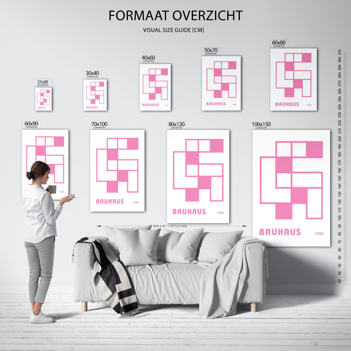 Roze vlakverdeling Poster