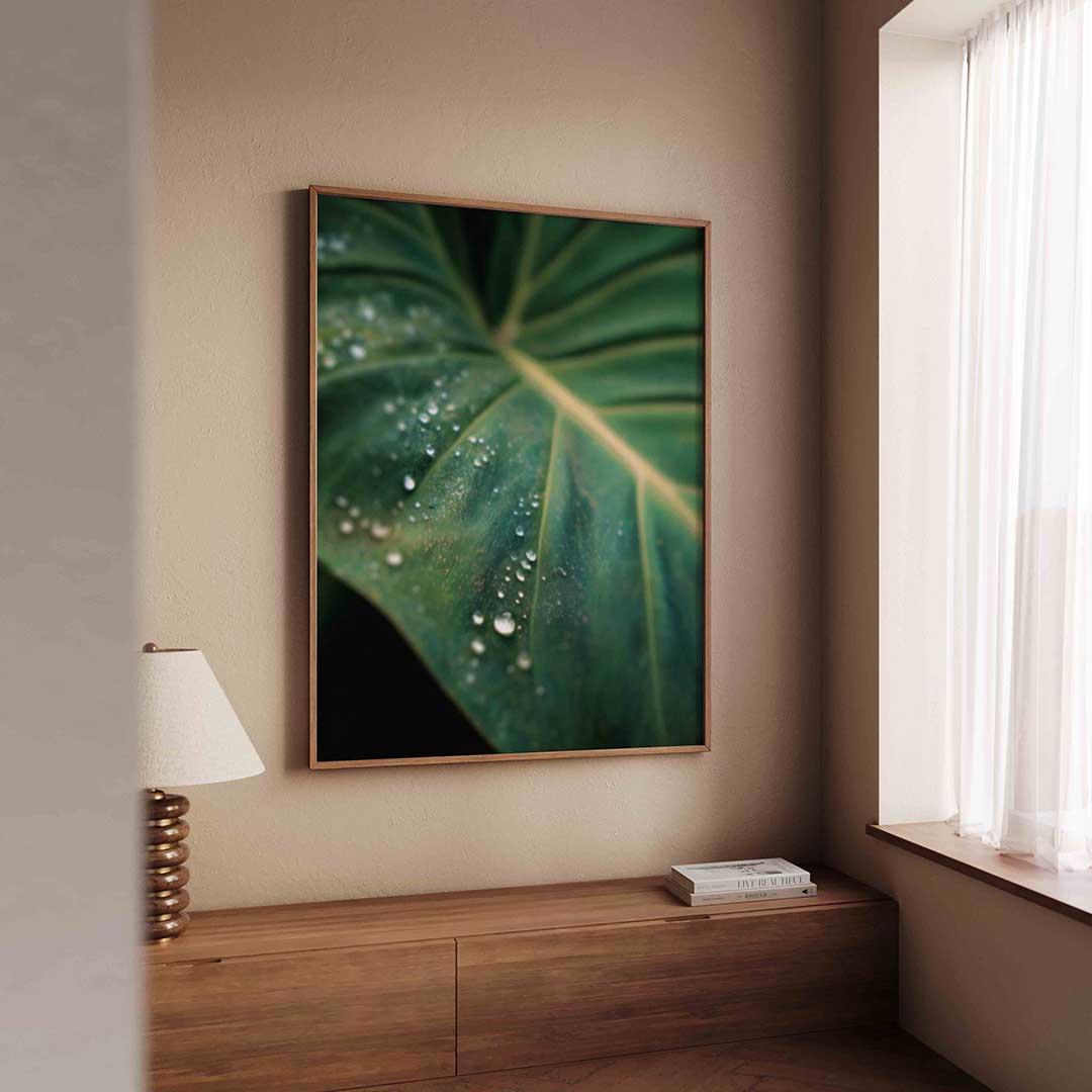 Groen blad met dauwdruppels Poster
