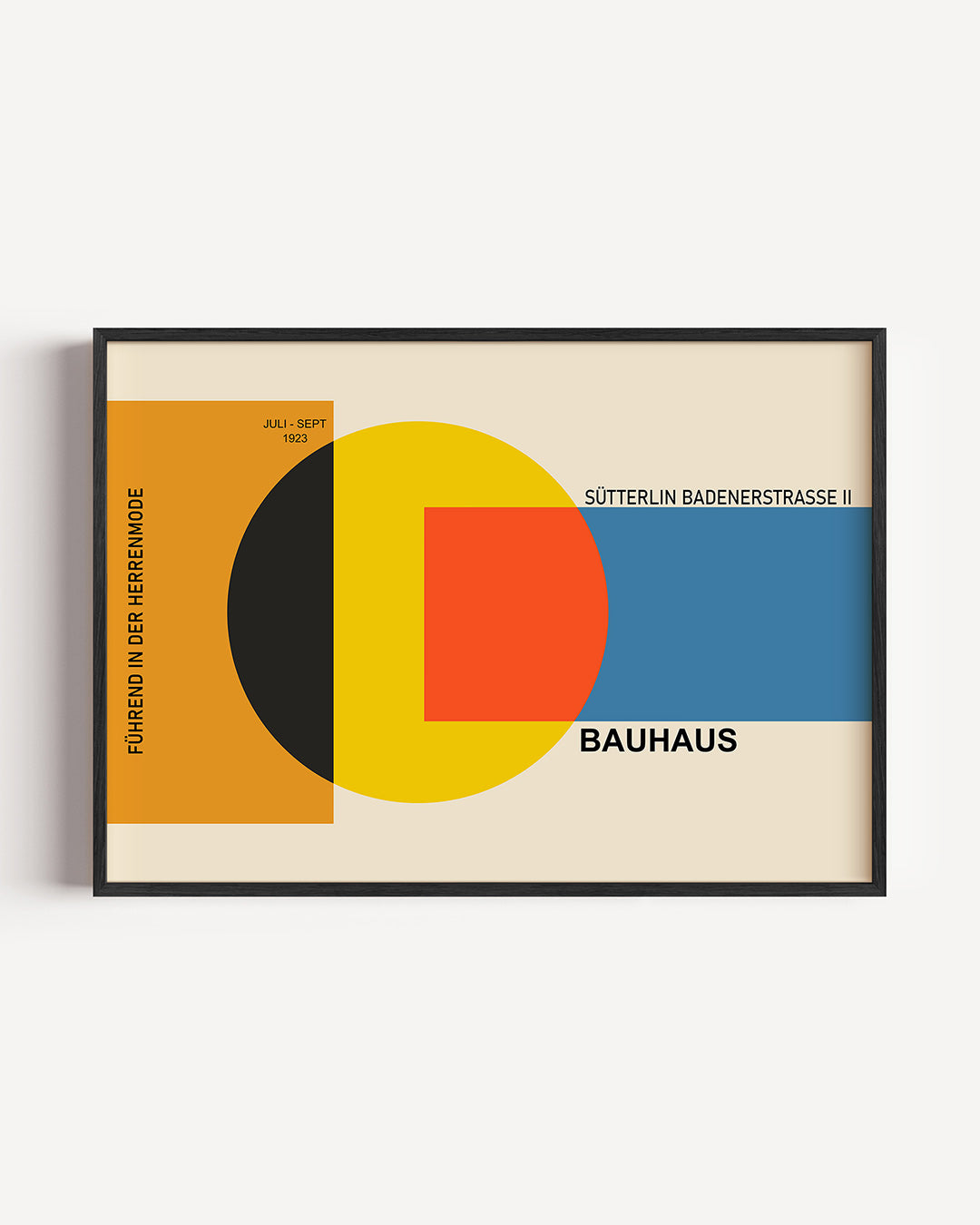 Vormen en kleurvlakken Poster
