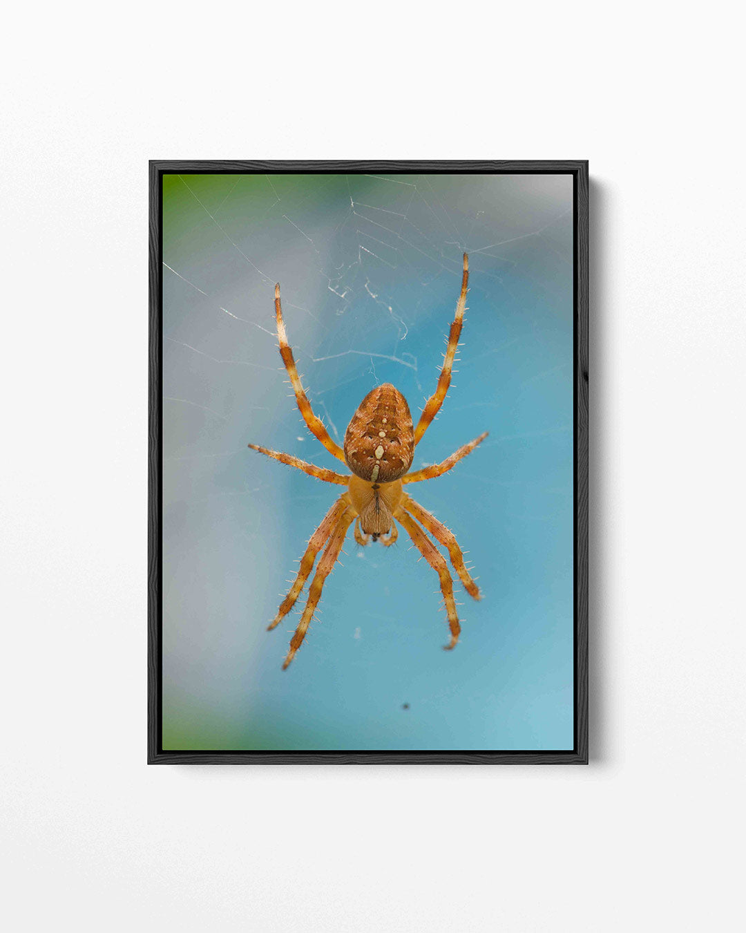 Natuurlijke symmetrie Kunstwerk