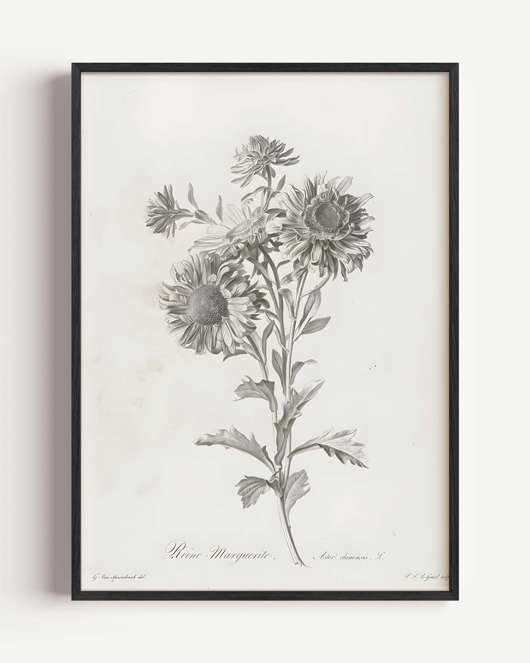 Botanische Bloemenpracht Poster-WallArtistic