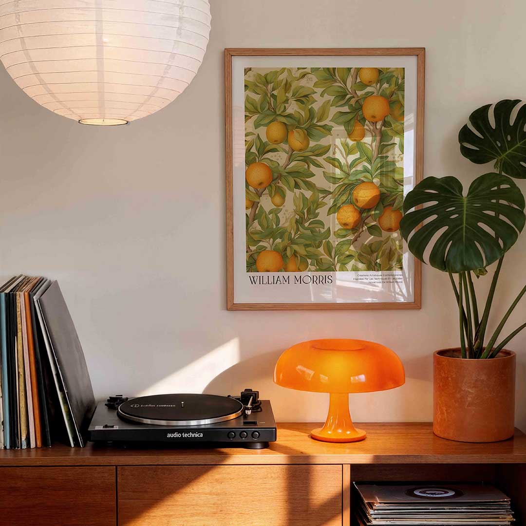 Citrus en bladeren Poster