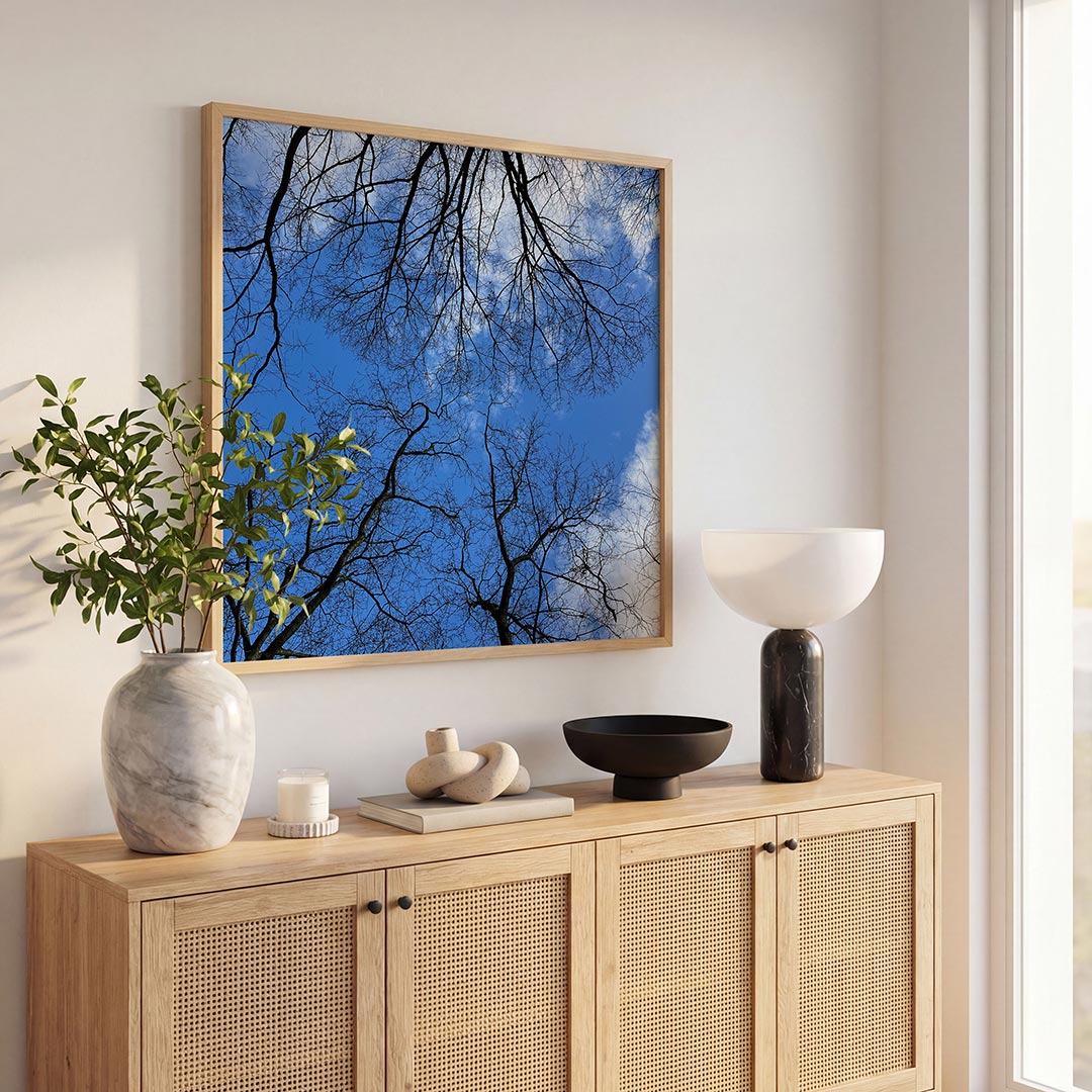 Boomtakken tegen lucht Poster