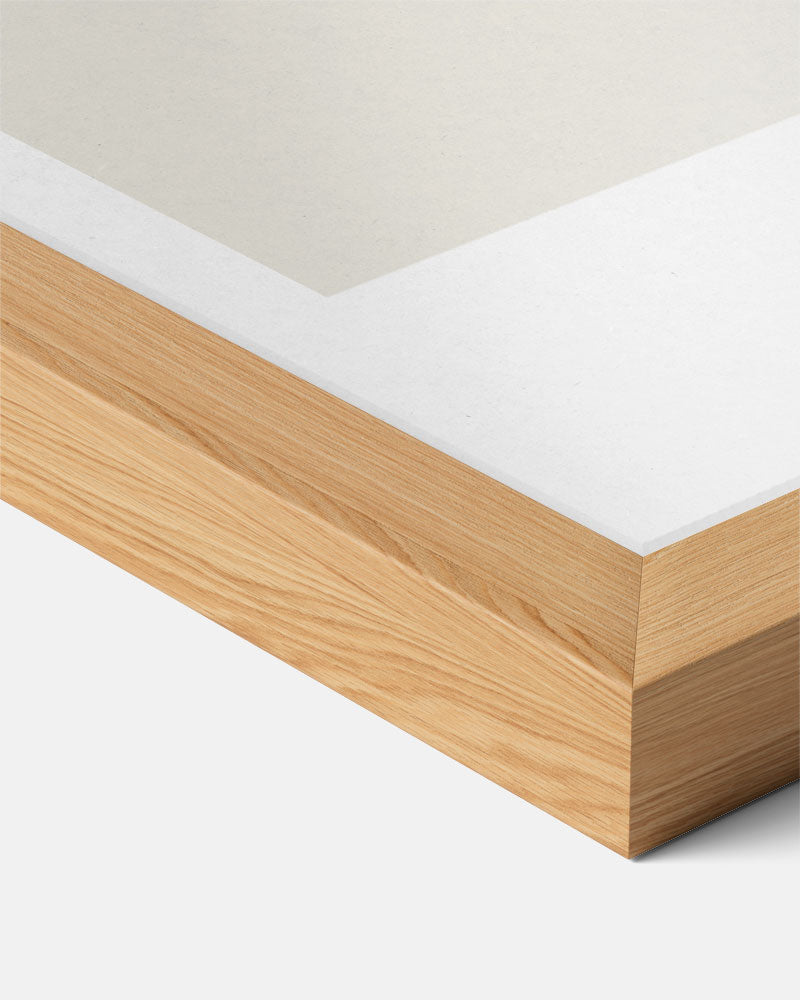 Botanische Bloemenlijntekening Poster-WallArtistic