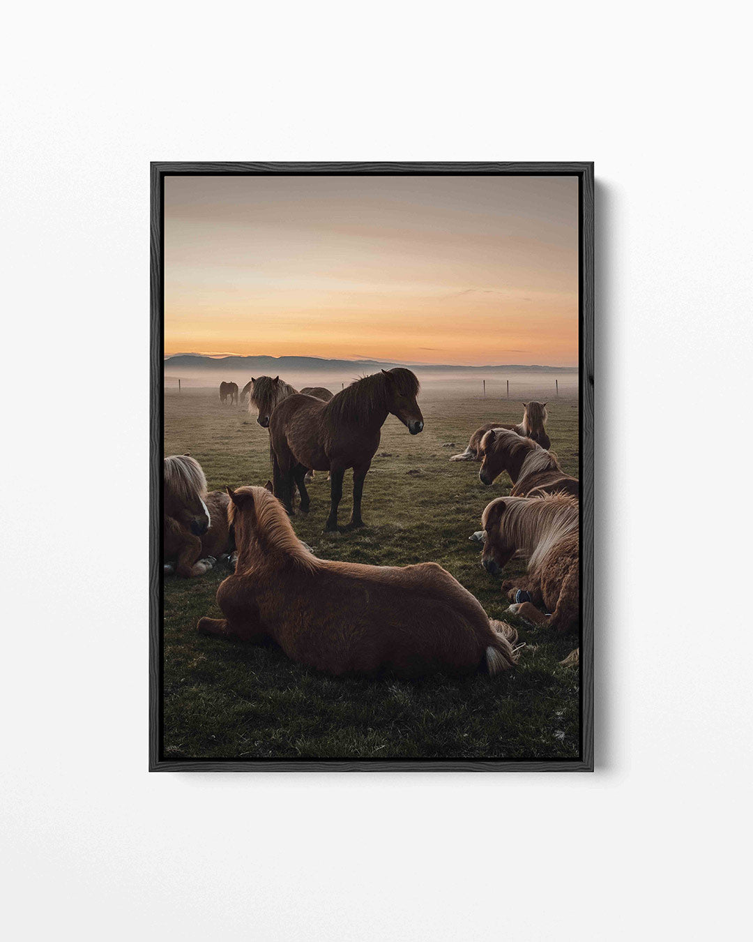 Rustige paardenweide Kunstwerk