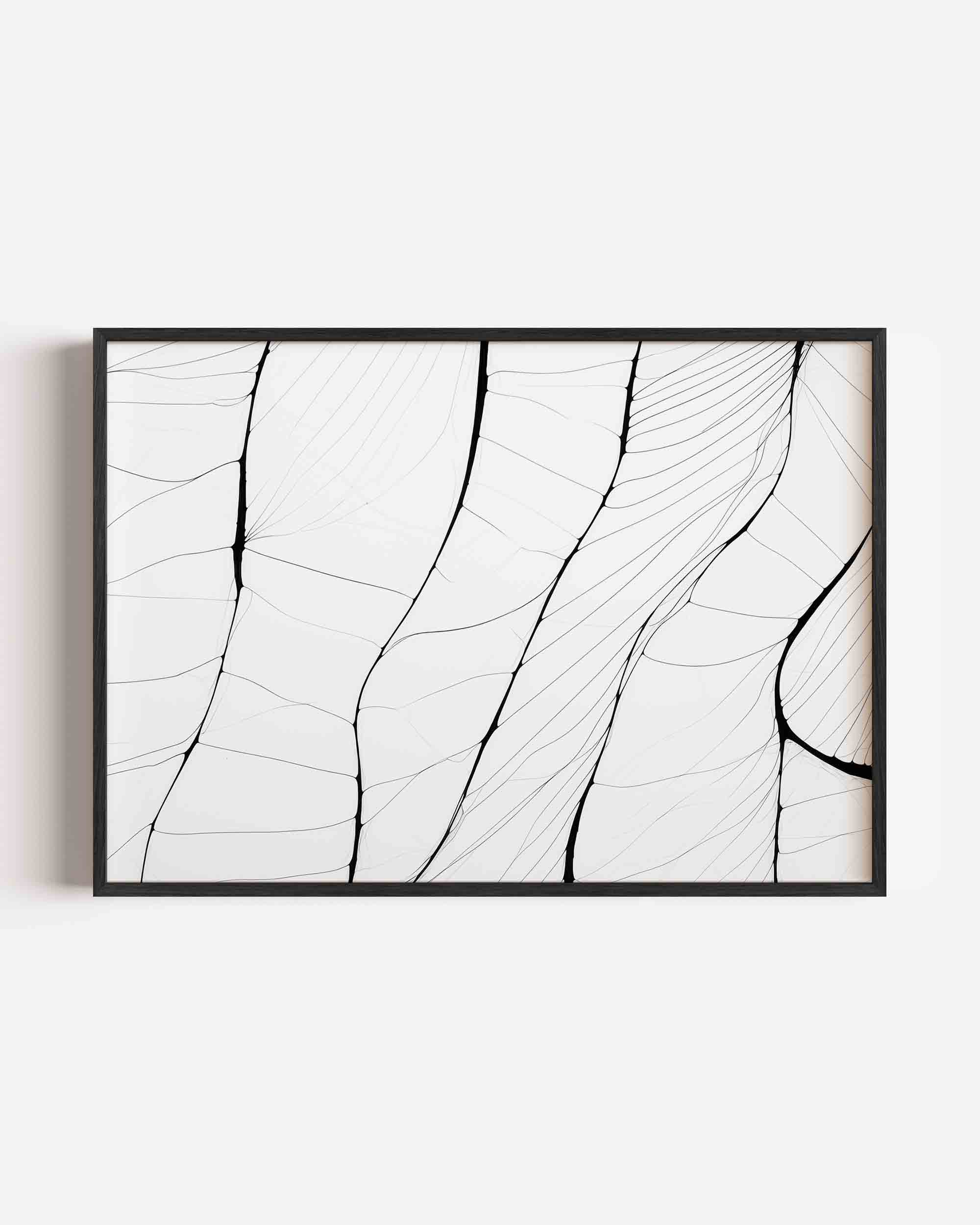 Abstracte lijnen Poster