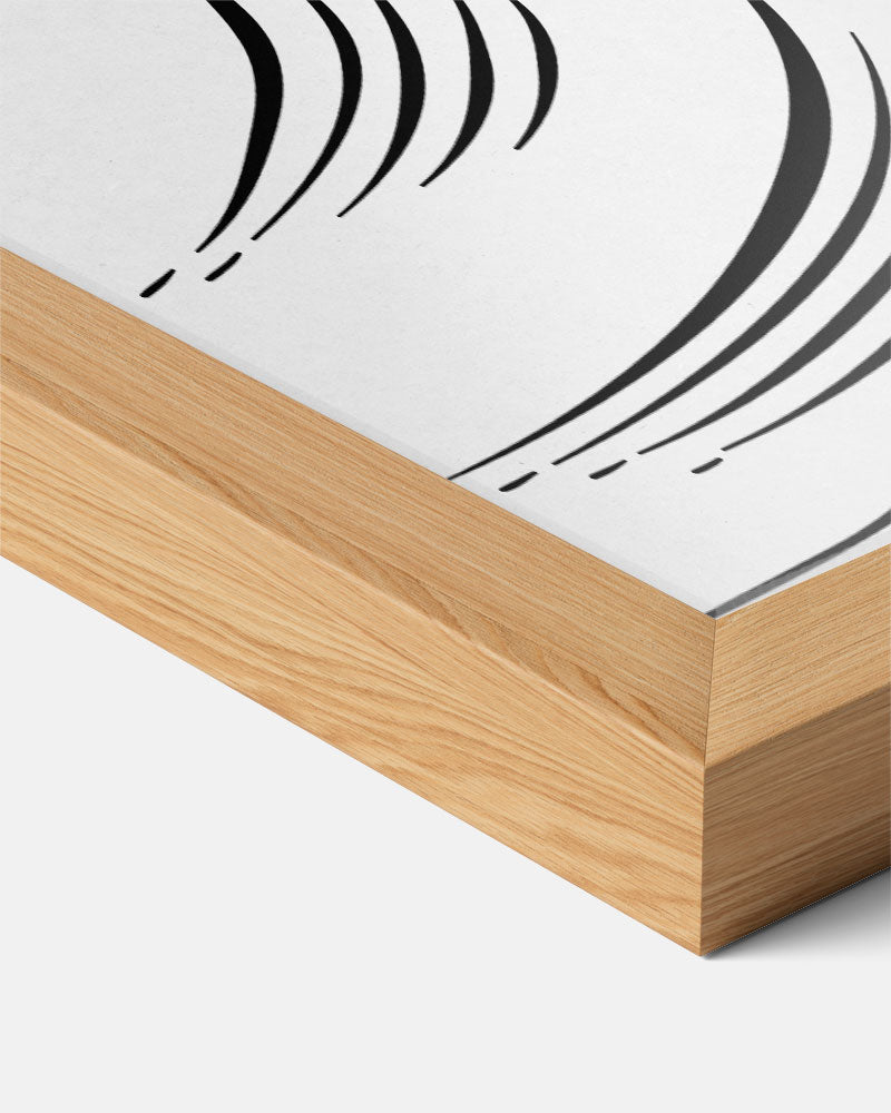 Elegante Schelpentekening Poster-WallArtistic