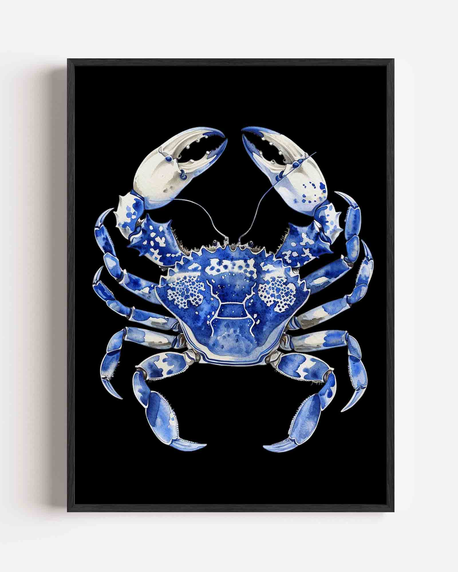 Blauwe krab Poster