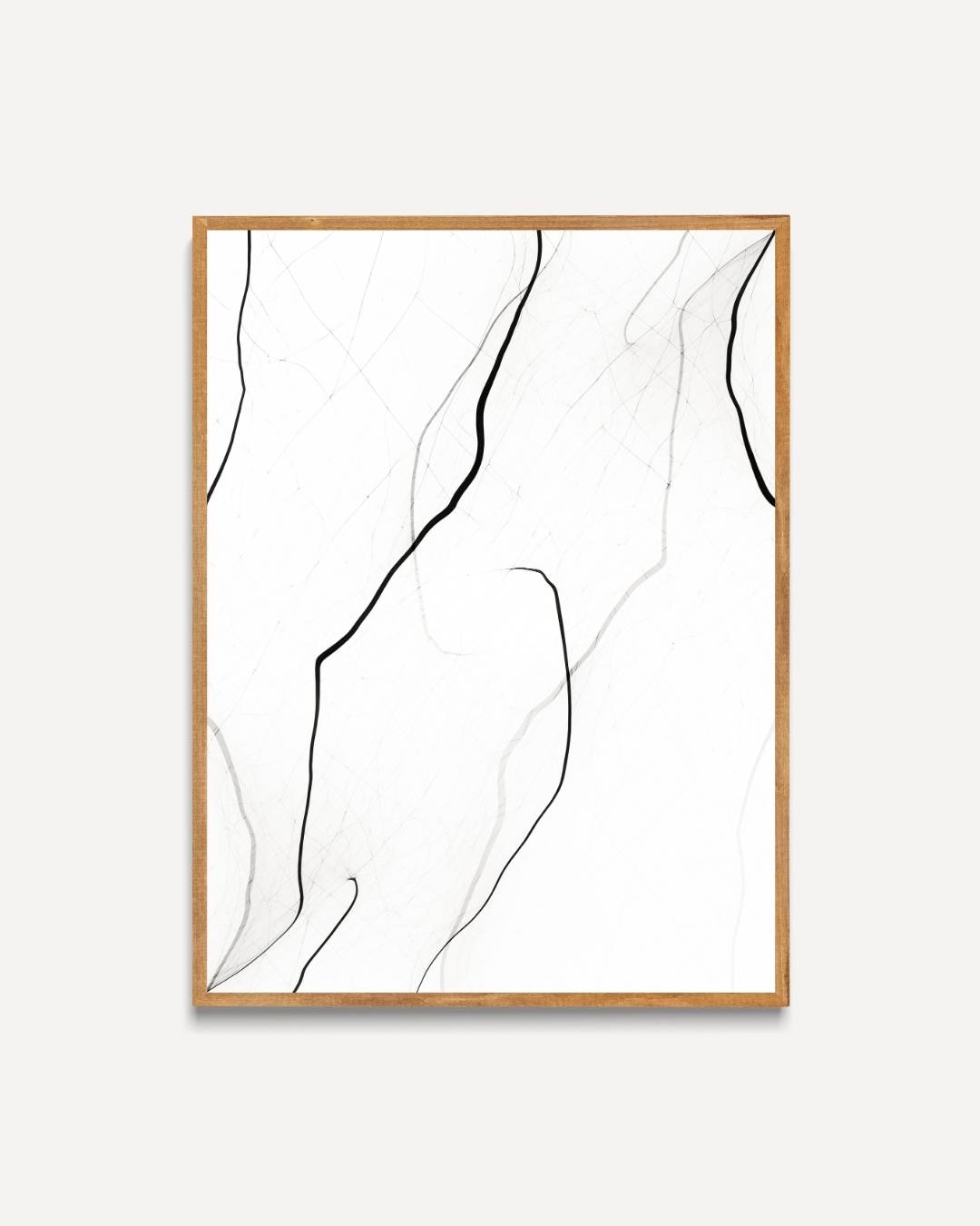 Elegante abstracte lijnen Poster