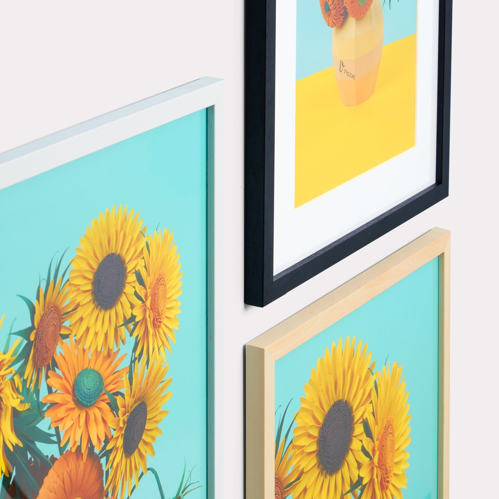 White interchangeable frame