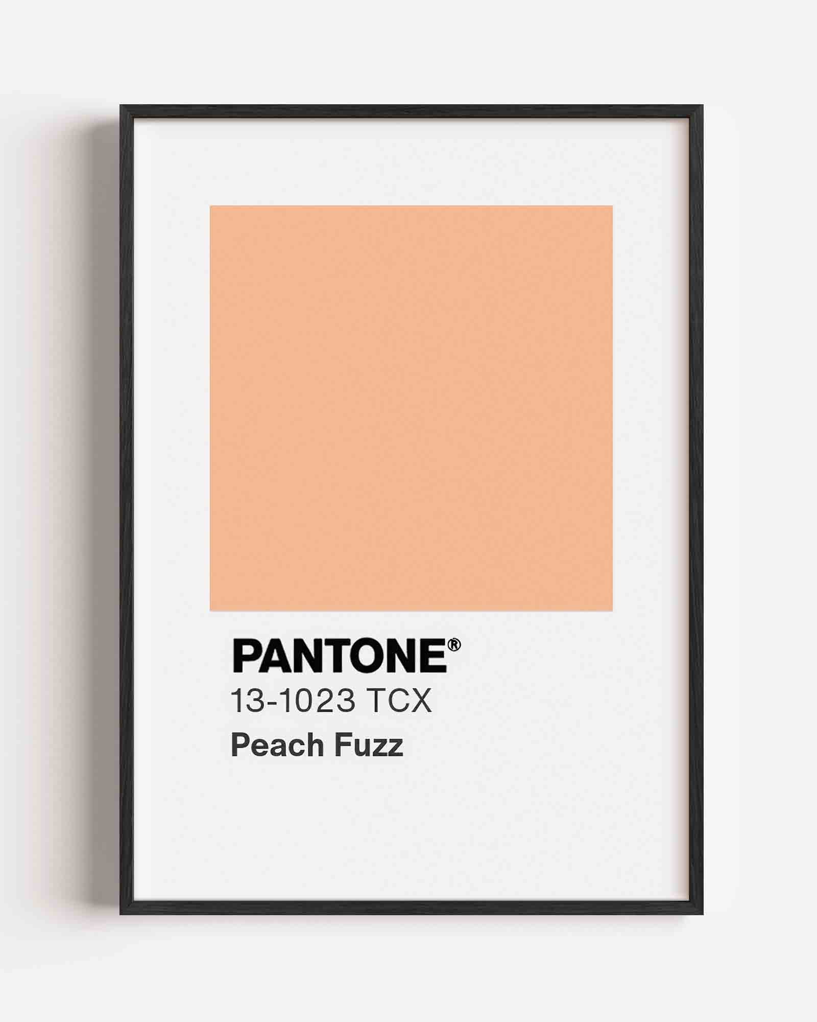 Peach fuzz pantone Poster