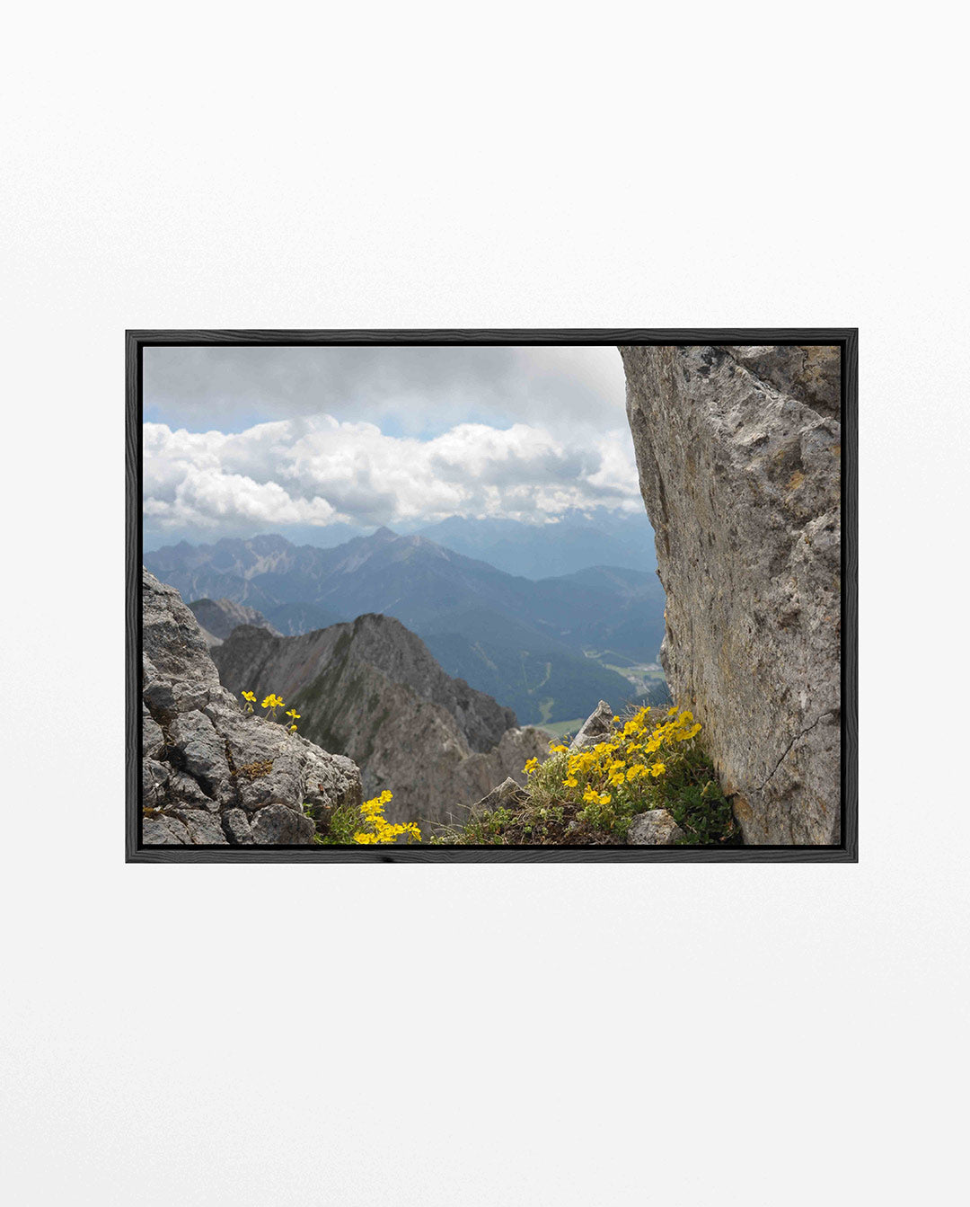 Berglandschap met bloemen Kunstwerk