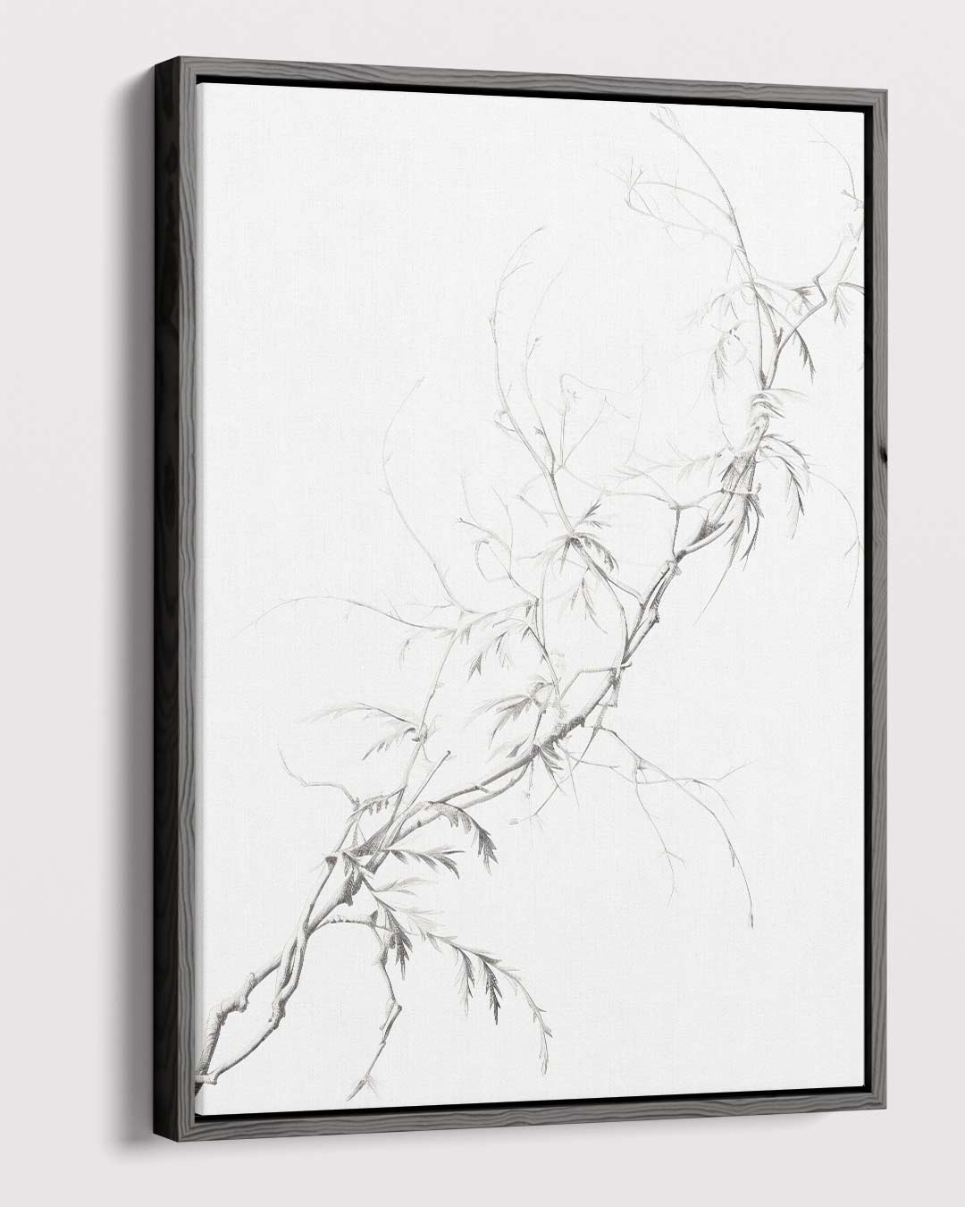 Elegante Takken in Potlood Kunstwerk-canvas-dibond-plexiglas-wanddecoratie-WallArtistic
