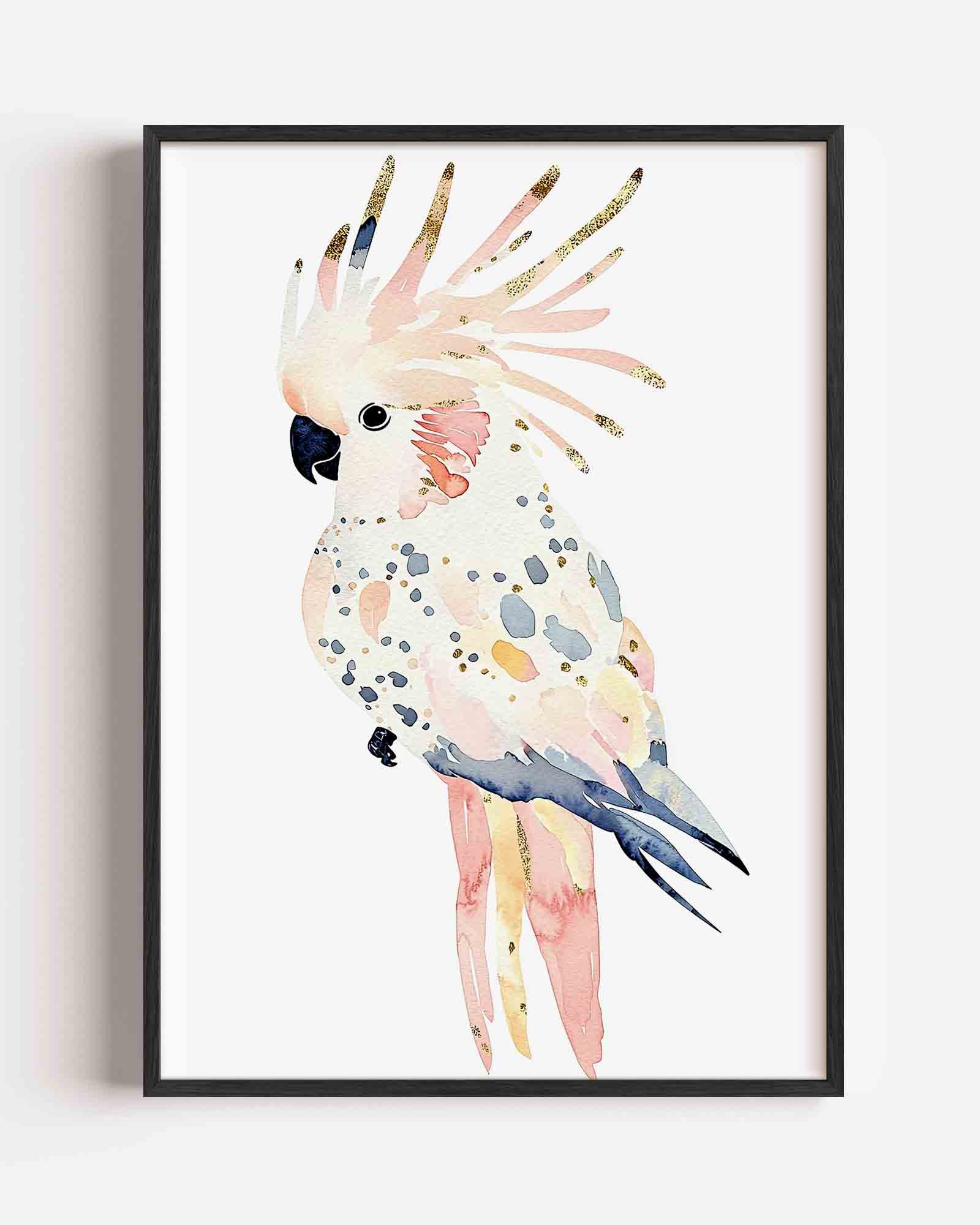 Gekleurde kaketoe Poster