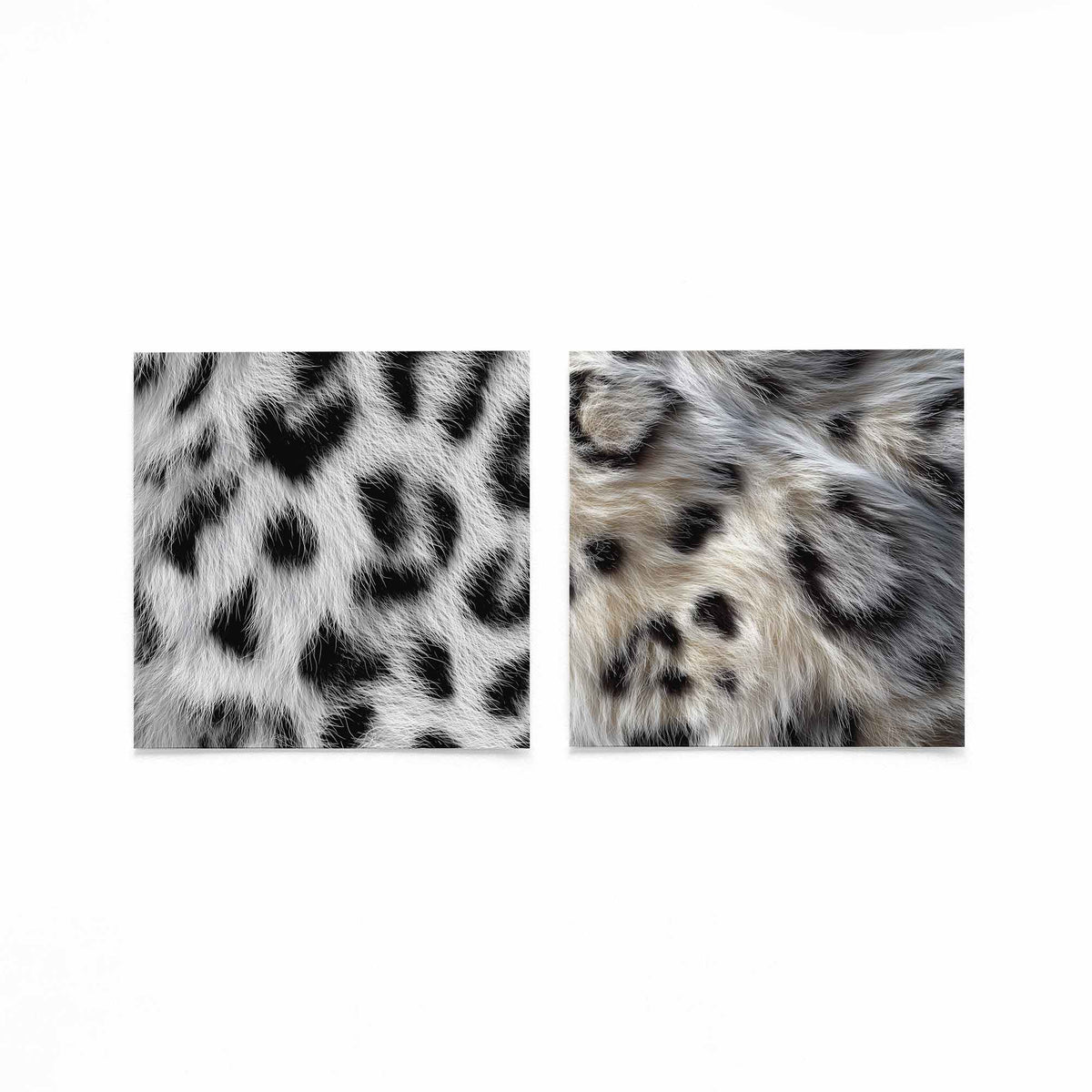 Twee vierkante posters met zwart witte dierenbont op een gebroken witte achtergrond