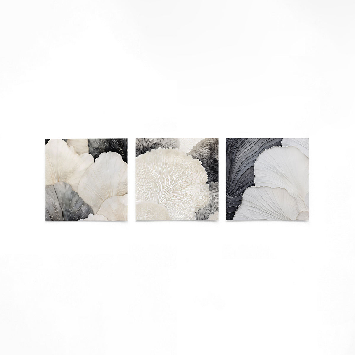 Drie vierkante posters met monochrome schelpstructuren op een gebroken witte achtergrond