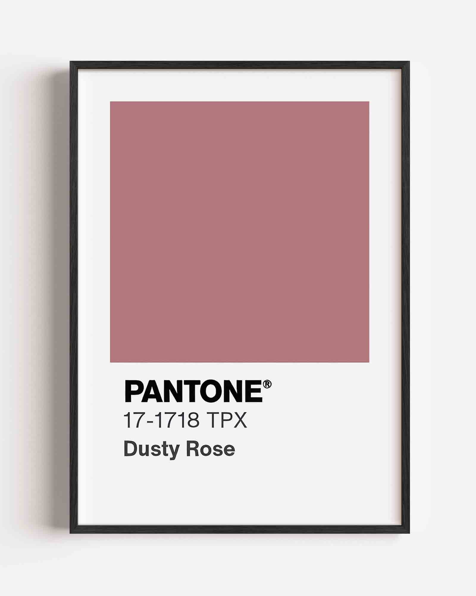 Dusty rose kleur Poster