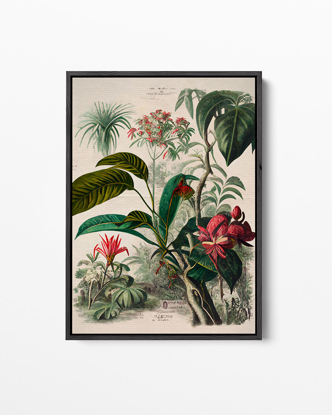 Botanische illustratie Kunstwerk