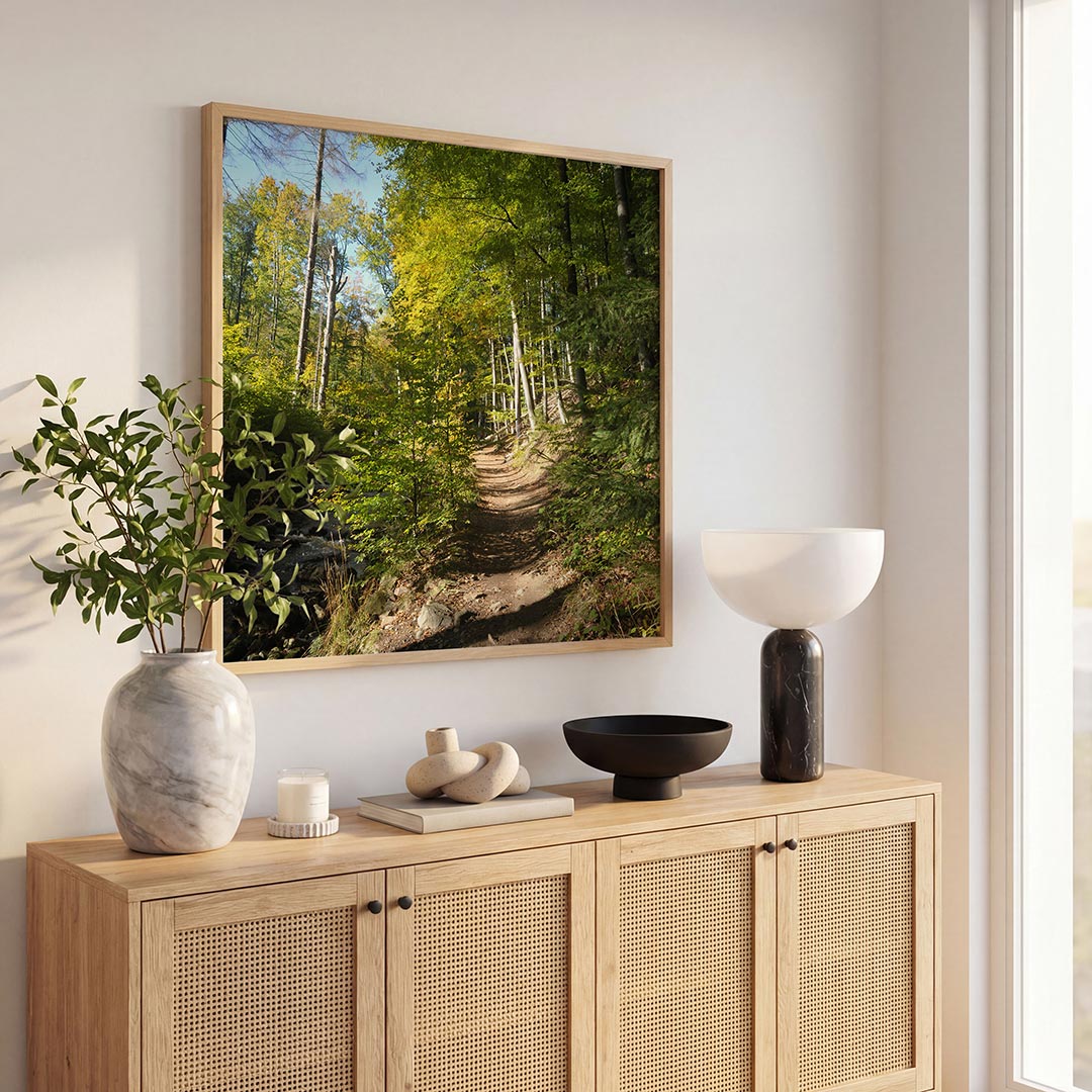 Boswandeling in de zon Poster