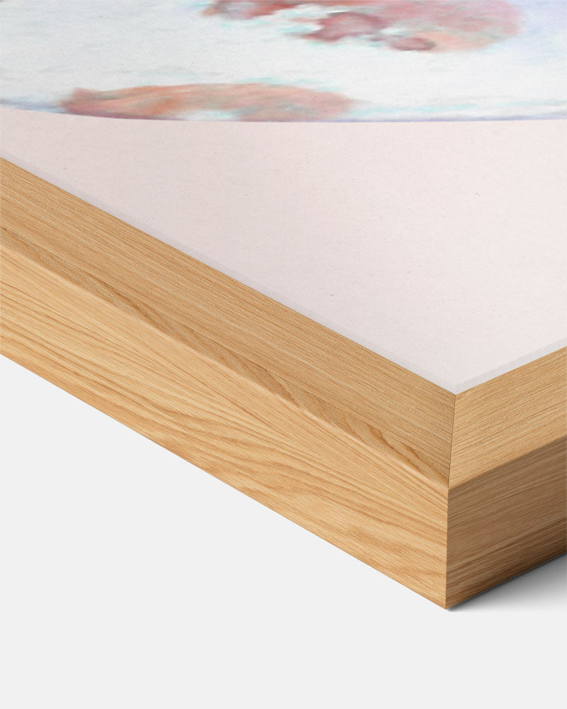 Roze Schelpen Poster-WallArtistic