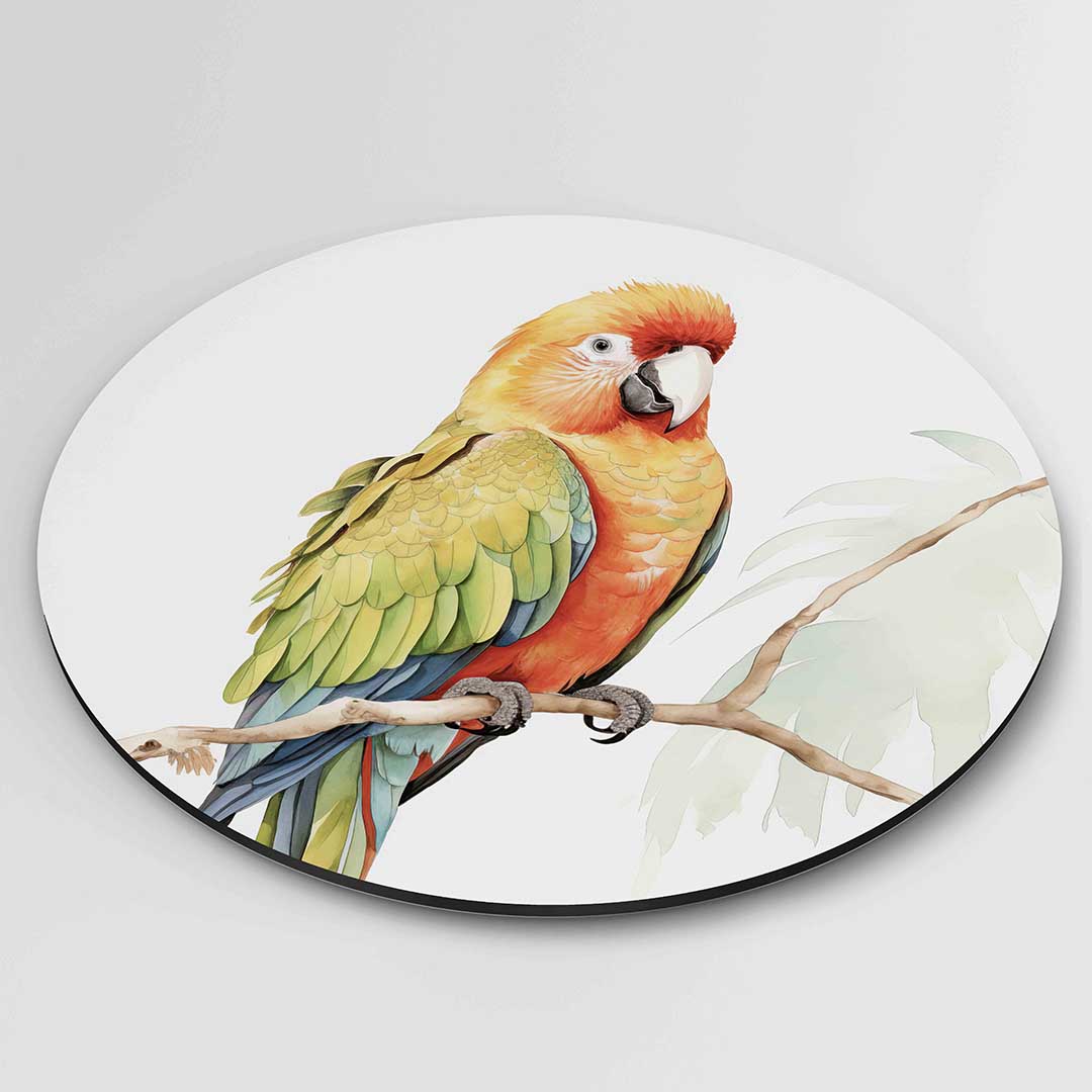 Papegaai op tak Muurcirkel