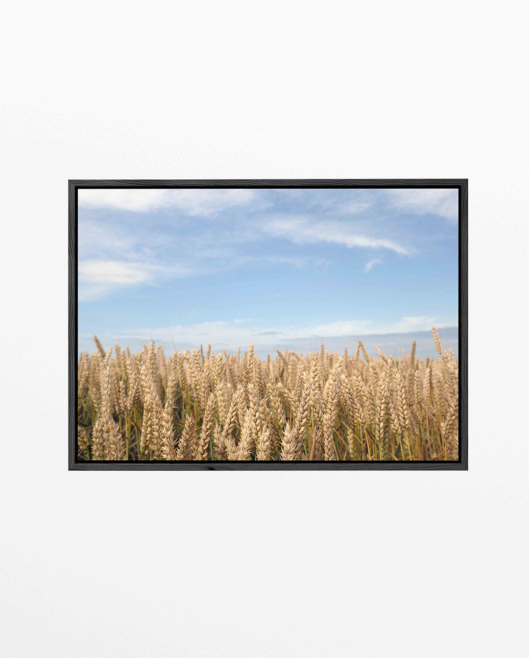 Gouden tarweveld Kunstwerk