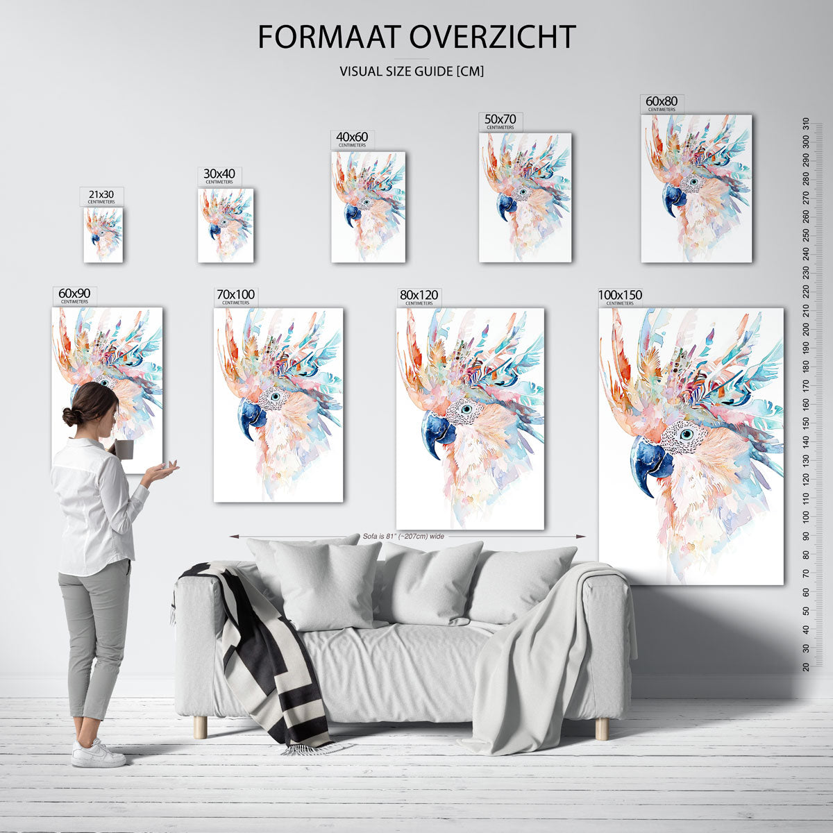 Papegaai met kleurrijke veren Poster