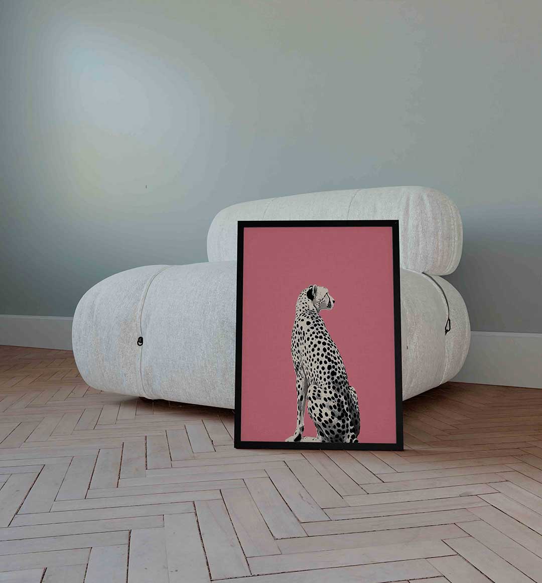 Zittende cheetah Poster
