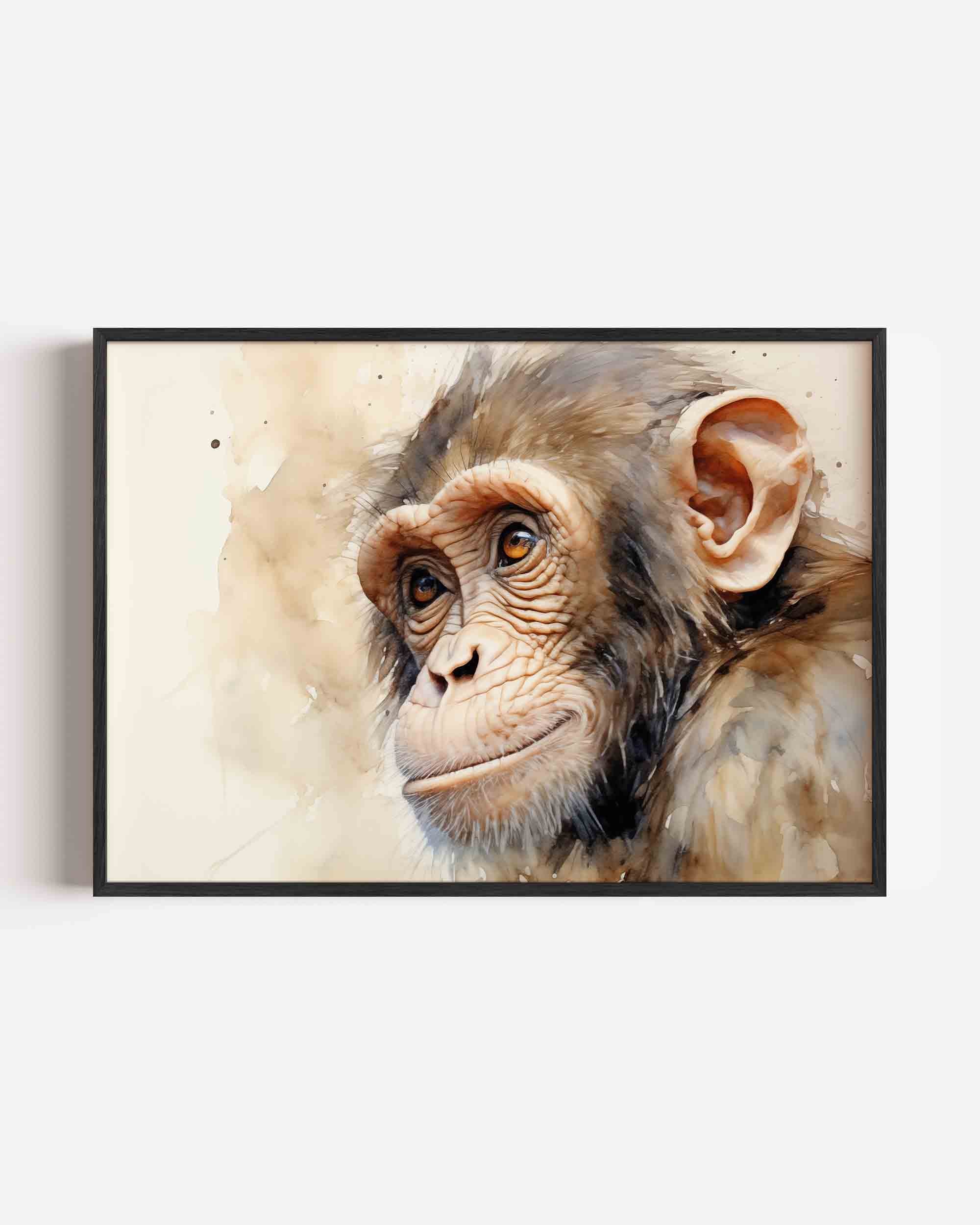 Chimpanzee portret Poster