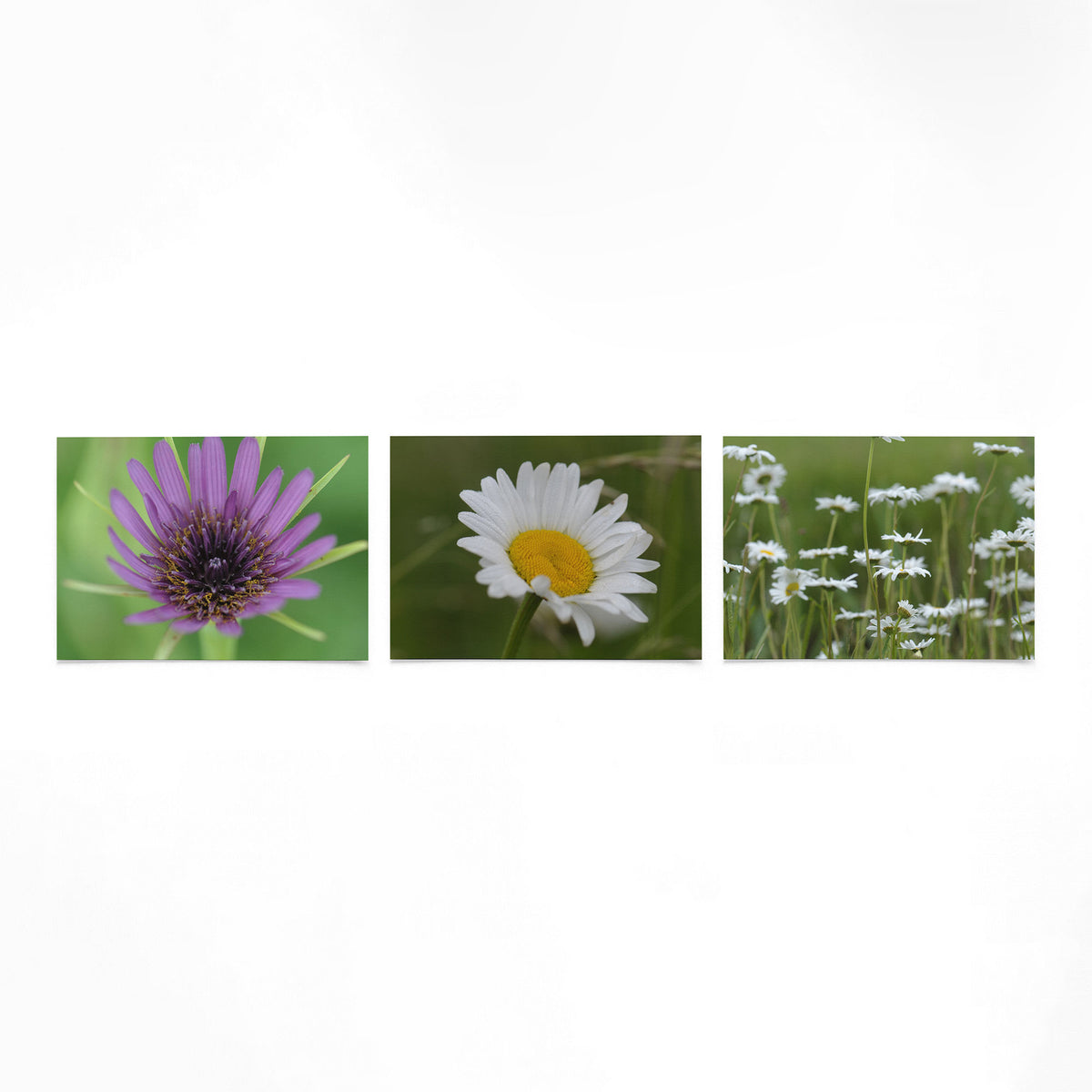 Productfoto van drie liggende posters met bloemen in zacht groen – Gerald Emming
