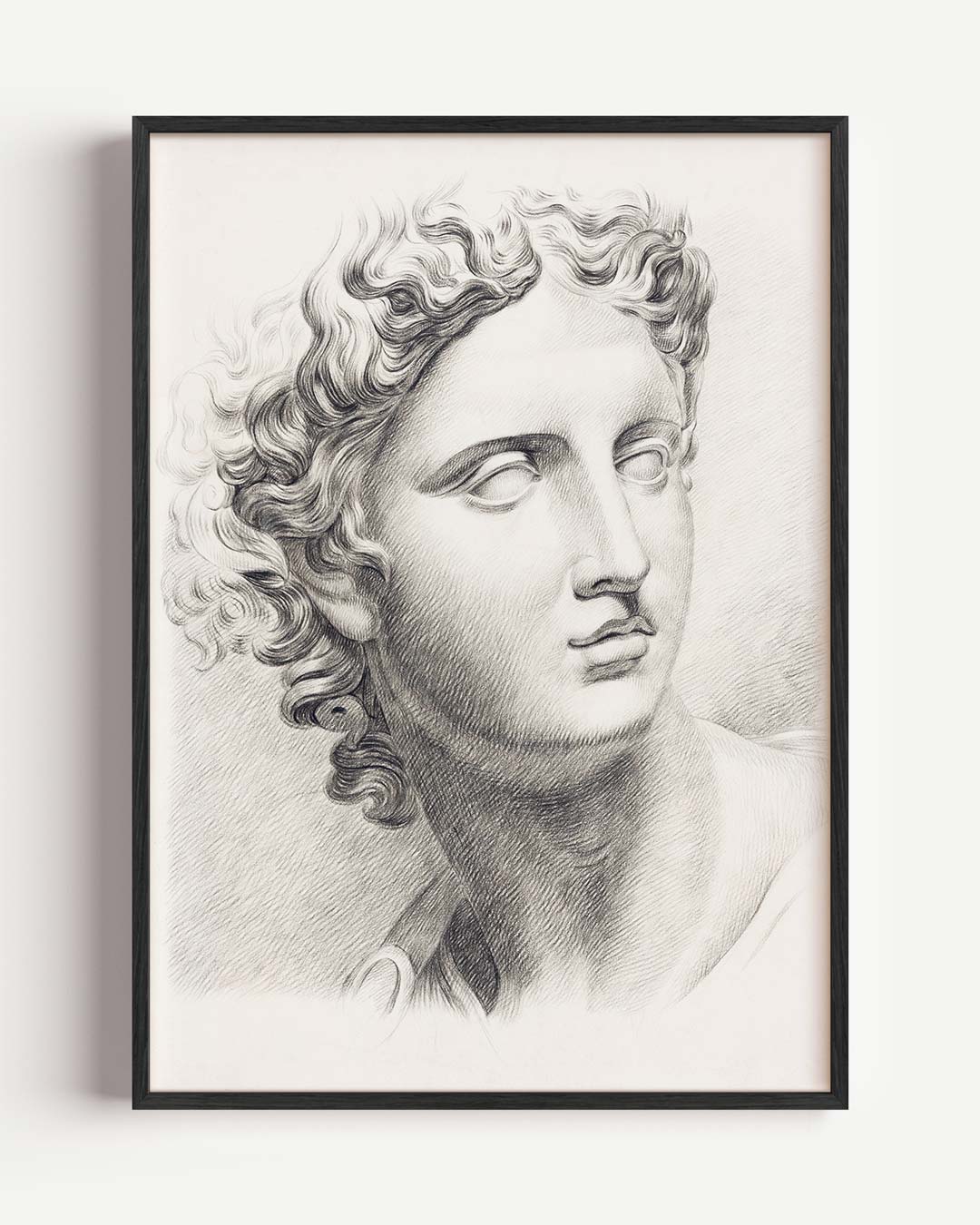 Klassieke Griekse Schoonheid Poster-WallArtistic