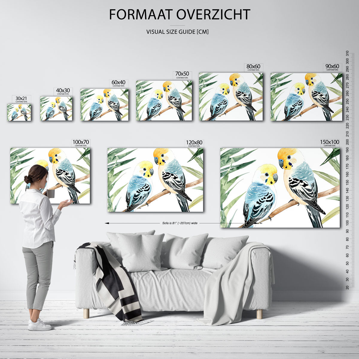 Parkieten op tak Poster