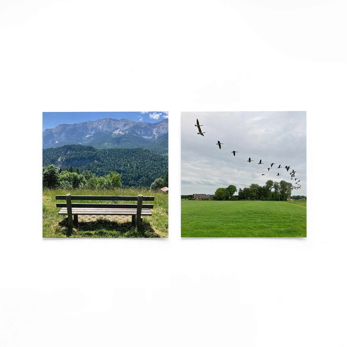 Productfoto van twee vierkante posters met bergen en trekvogels – Gerald Emming