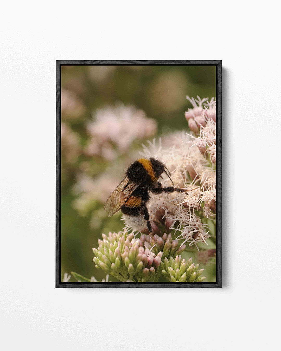 Bij op bloem Kunstwerk
