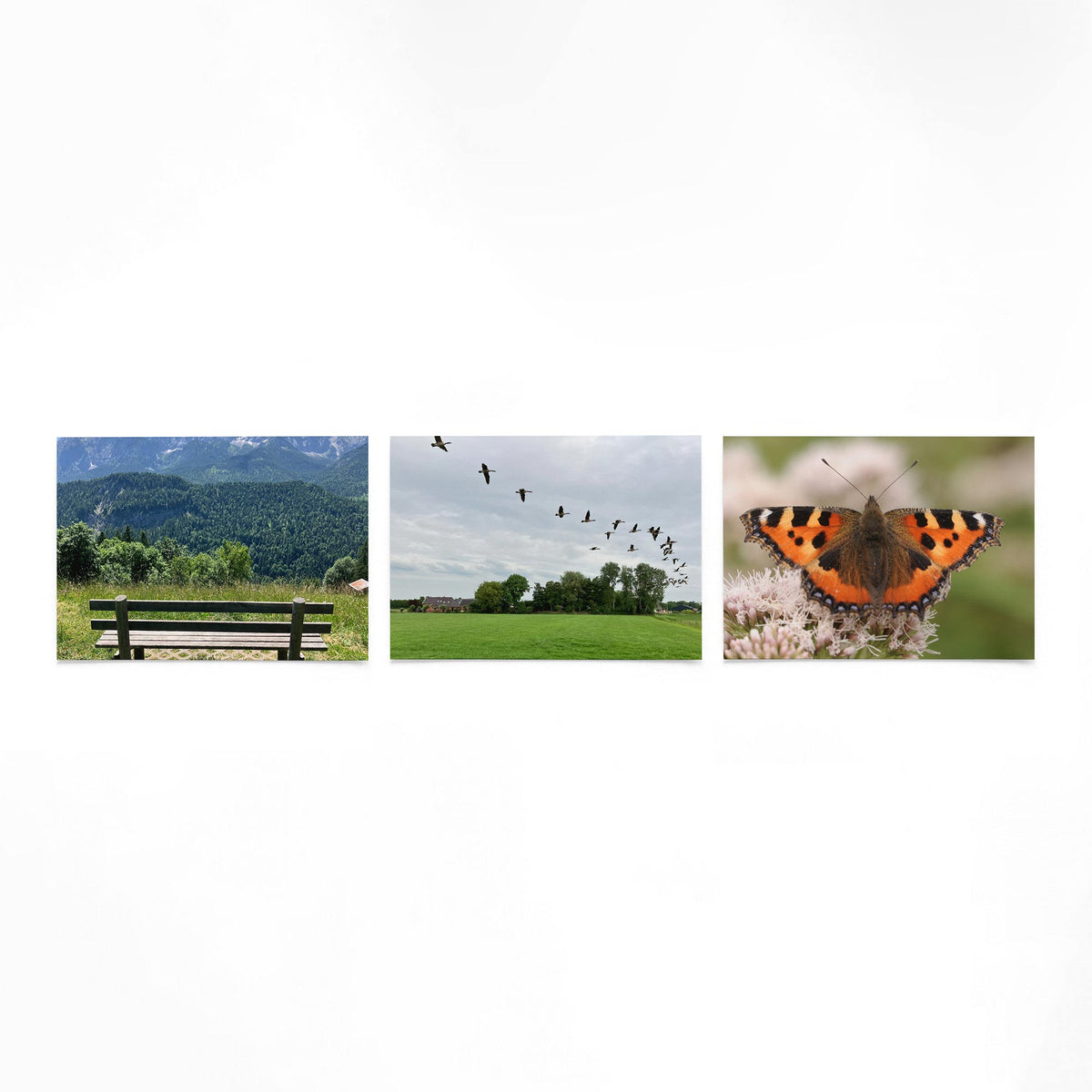 Productfoto van drie liggende posters met bergen, vogels en vlinder – Gerald Emming