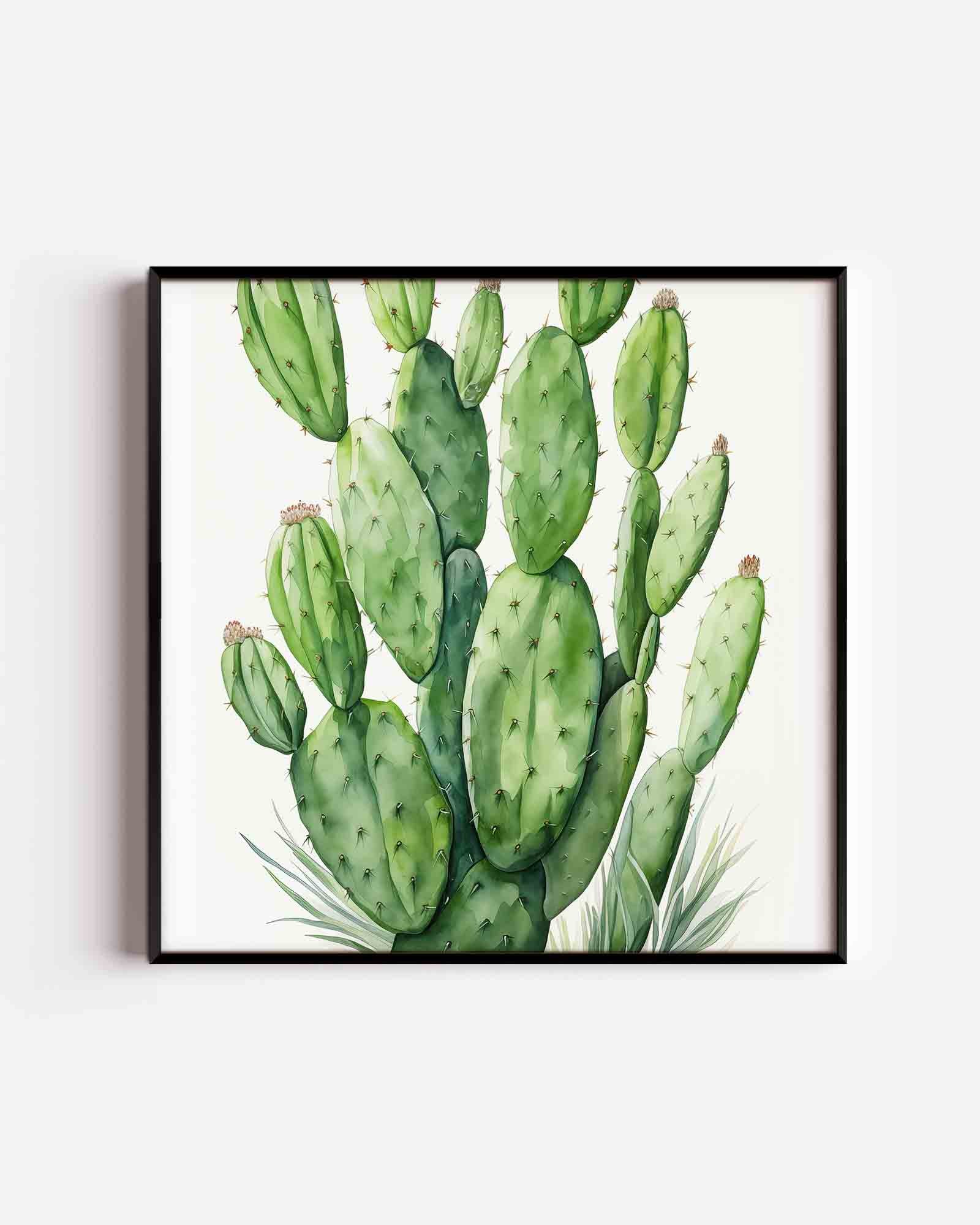 Groene cactus Poster