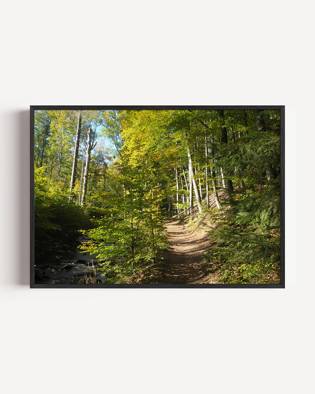 Boswandeling pad Poster