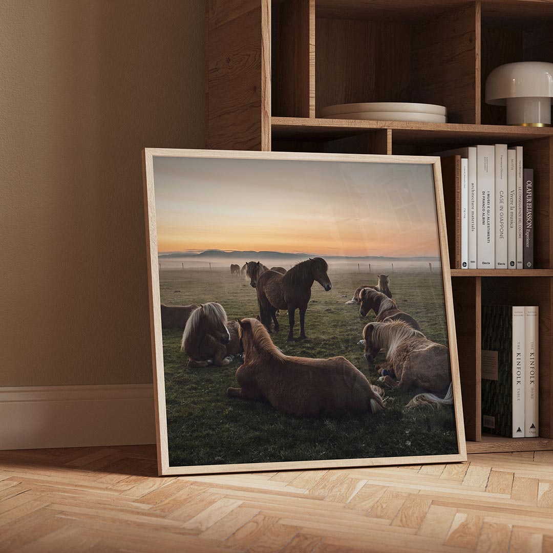 Rustige paardenweide Poster