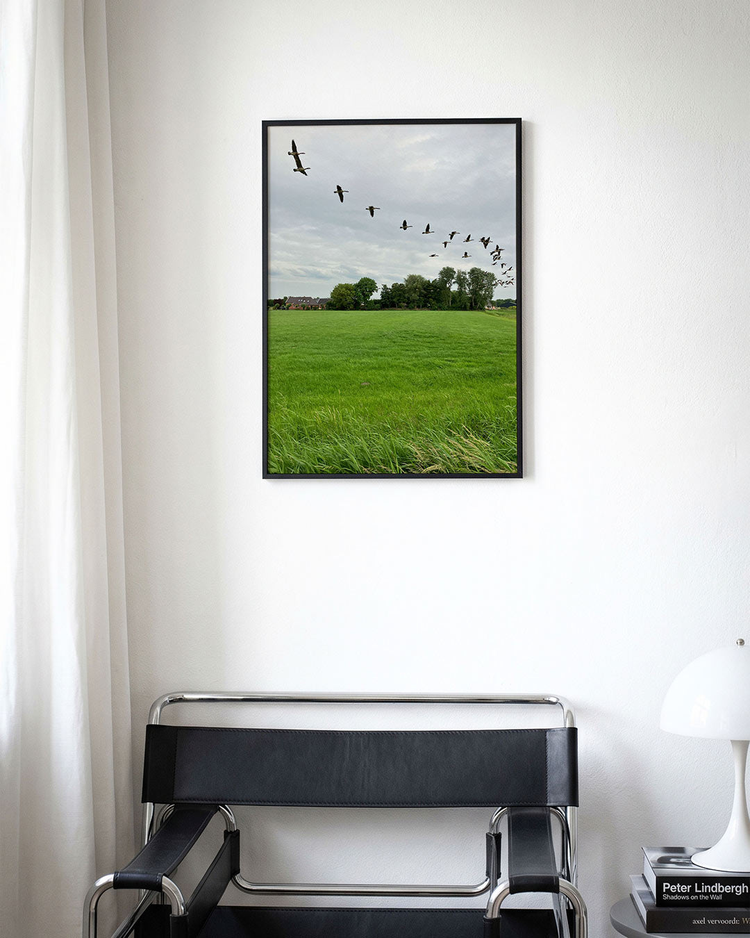 Vliegende vogels Poster