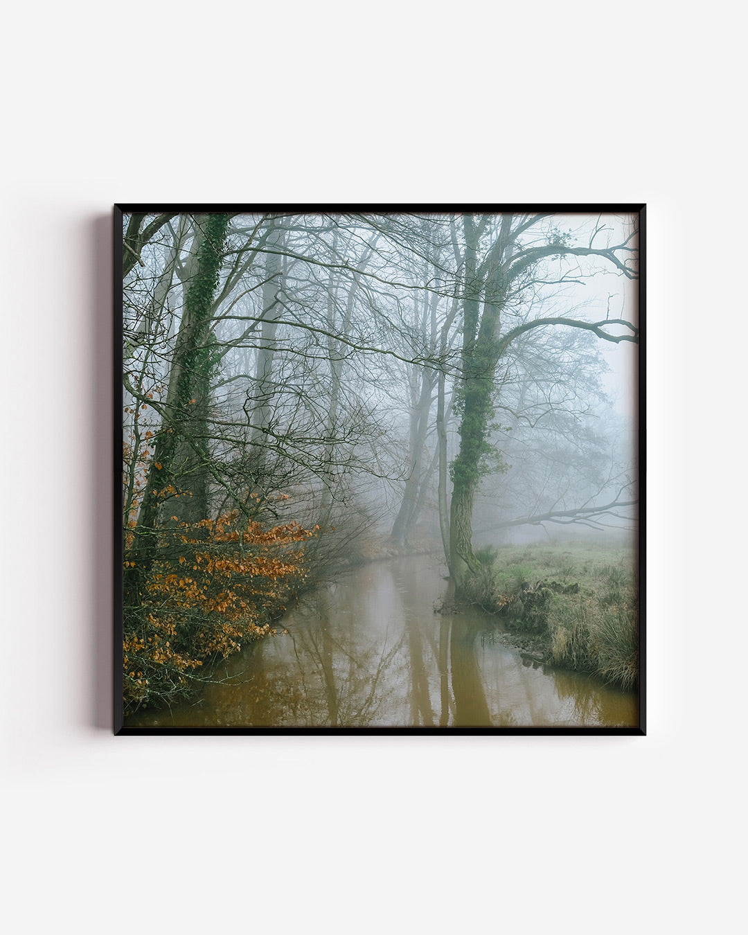 Mistig boslandschap Poster