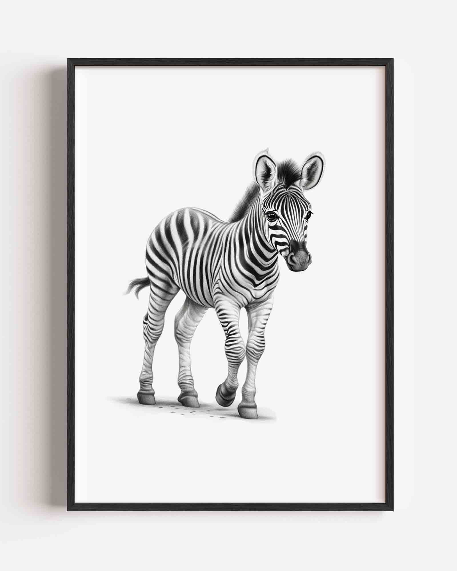 Zebra Poster