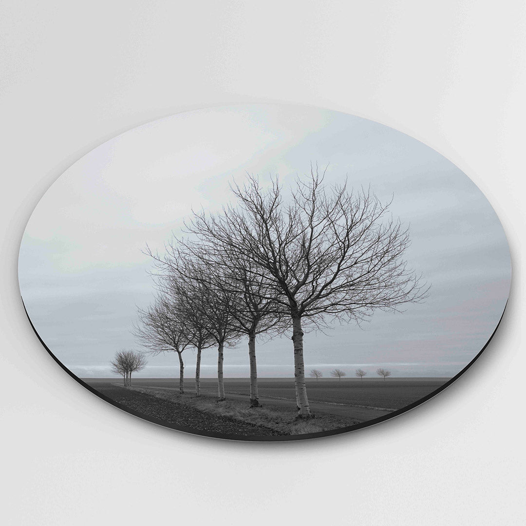 Landschap met bomen Muurcirkel